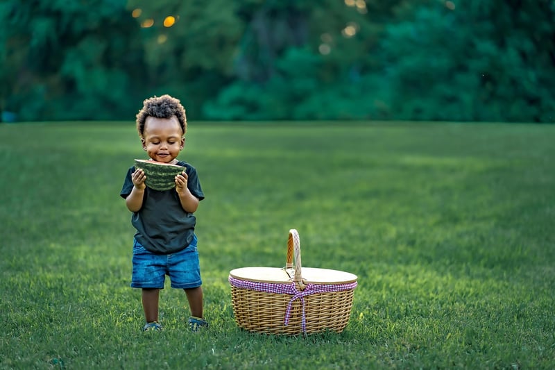 Outdoor Picnic
